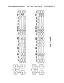 MEANS AND METHODS FOR INVESTIGATING NUCLEIC ACID SEQUENCES diagram and image