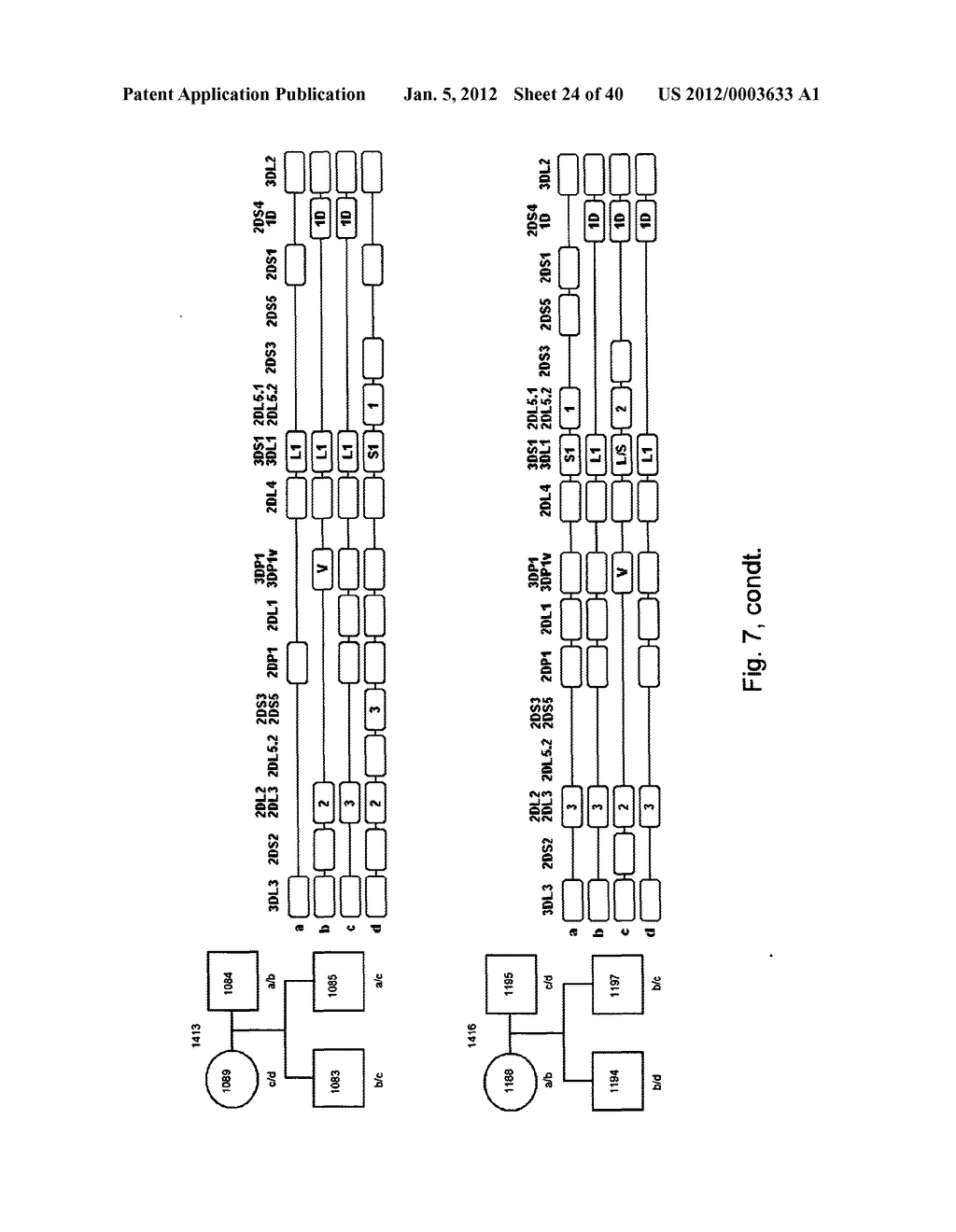 MEANS AND METHODS FOR INVESTIGATING NUCLEIC ACID SEQUENCES - diagram, schematic, and image 25