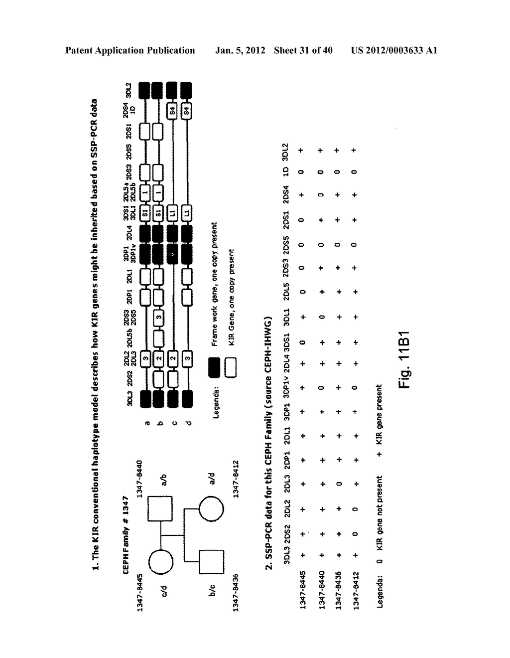 MEANS AND METHODS FOR INVESTIGATING NUCLEIC ACID SEQUENCES - diagram, schematic, and image 32