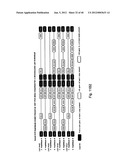 MEANS AND METHODS FOR INVESTIGATING NUCLEIC ACID SEQUENCES diagram and image