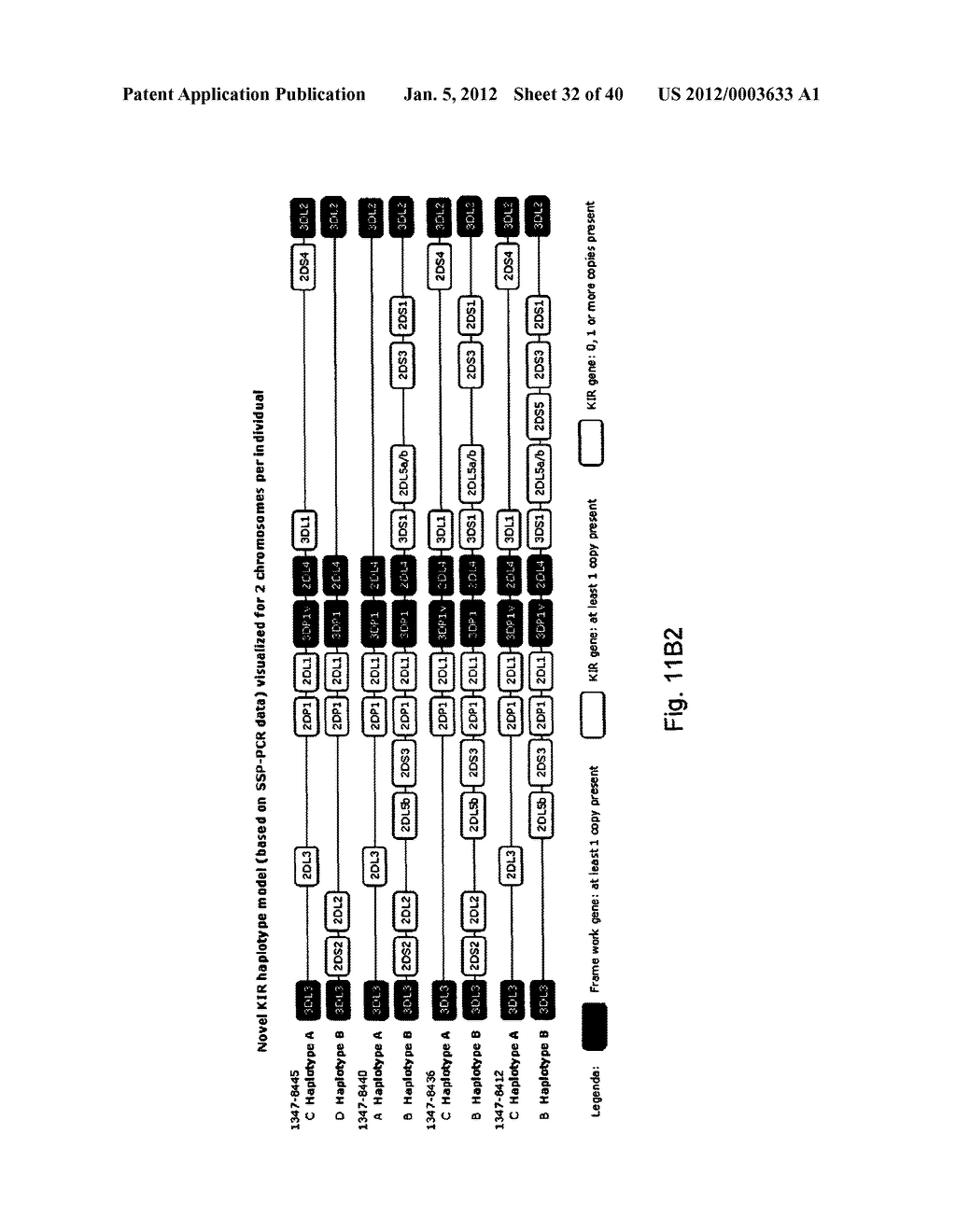 MEANS AND METHODS FOR INVESTIGATING NUCLEIC ACID SEQUENCES - diagram, schematic, and image 33