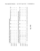 MEANS AND METHODS FOR INVESTIGATING NUCLEIC ACID SEQUENCES diagram and image