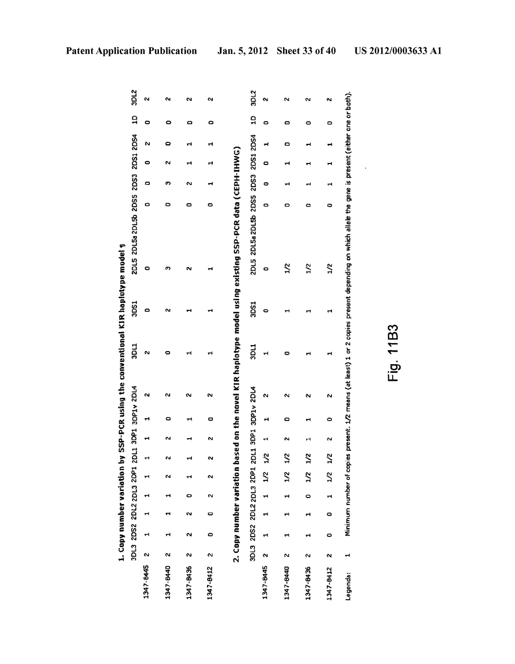 MEANS AND METHODS FOR INVESTIGATING NUCLEIC ACID SEQUENCES - diagram, schematic, and image 34