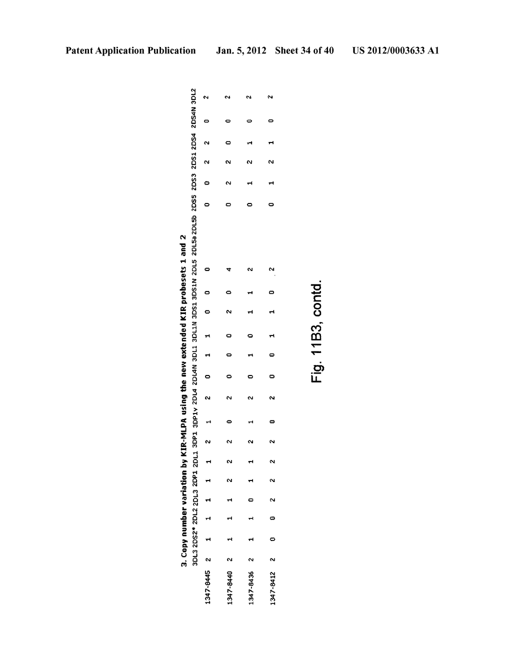 MEANS AND METHODS FOR INVESTIGATING NUCLEIC ACID SEQUENCES - diagram, schematic, and image 35