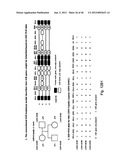 MEANS AND METHODS FOR INVESTIGATING NUCLEIC ACID SEQUENCES diagram and image