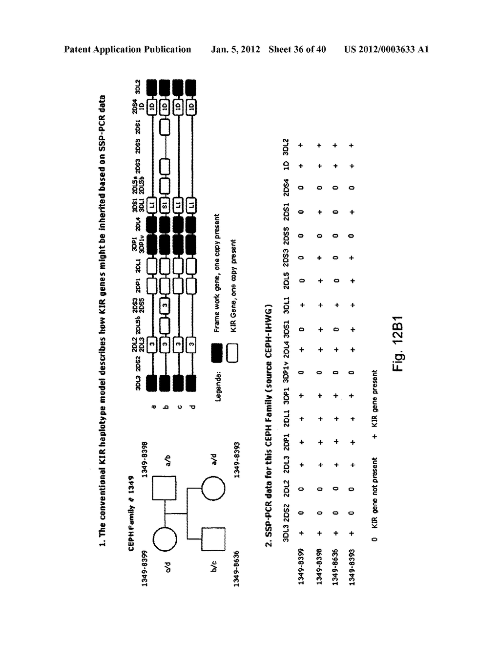 MEANS AND METHODS FOR INVESTIGATING NUCLEIC ACID SEQUENCES - diagram, schematic, and image 37