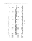 MEANS AND METHODS FOR INVESTIGATING NUCLEIC ACID SEQUENCES diagram and image