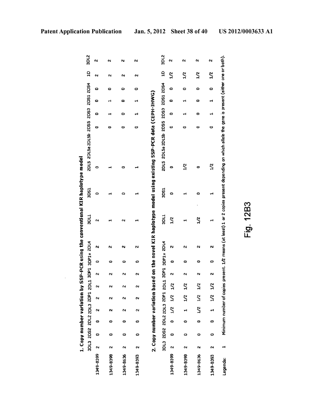 MEANS AND METHODS FOR INVESTIGATING NUCLEIC ACID SEQUENCES - diagram, schematic, and image 39