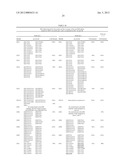 MEANS AND METHODS FOR INVESTIGATING NUCLEIC ACID SEQUENCES diagram and image