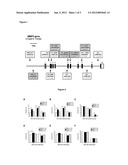 OLIGONUCLEOTIDES AND METHODS FOR DETERMINING SUSCEPTIBILITY TO SOFT TISSUE     INJURIES diagram and image