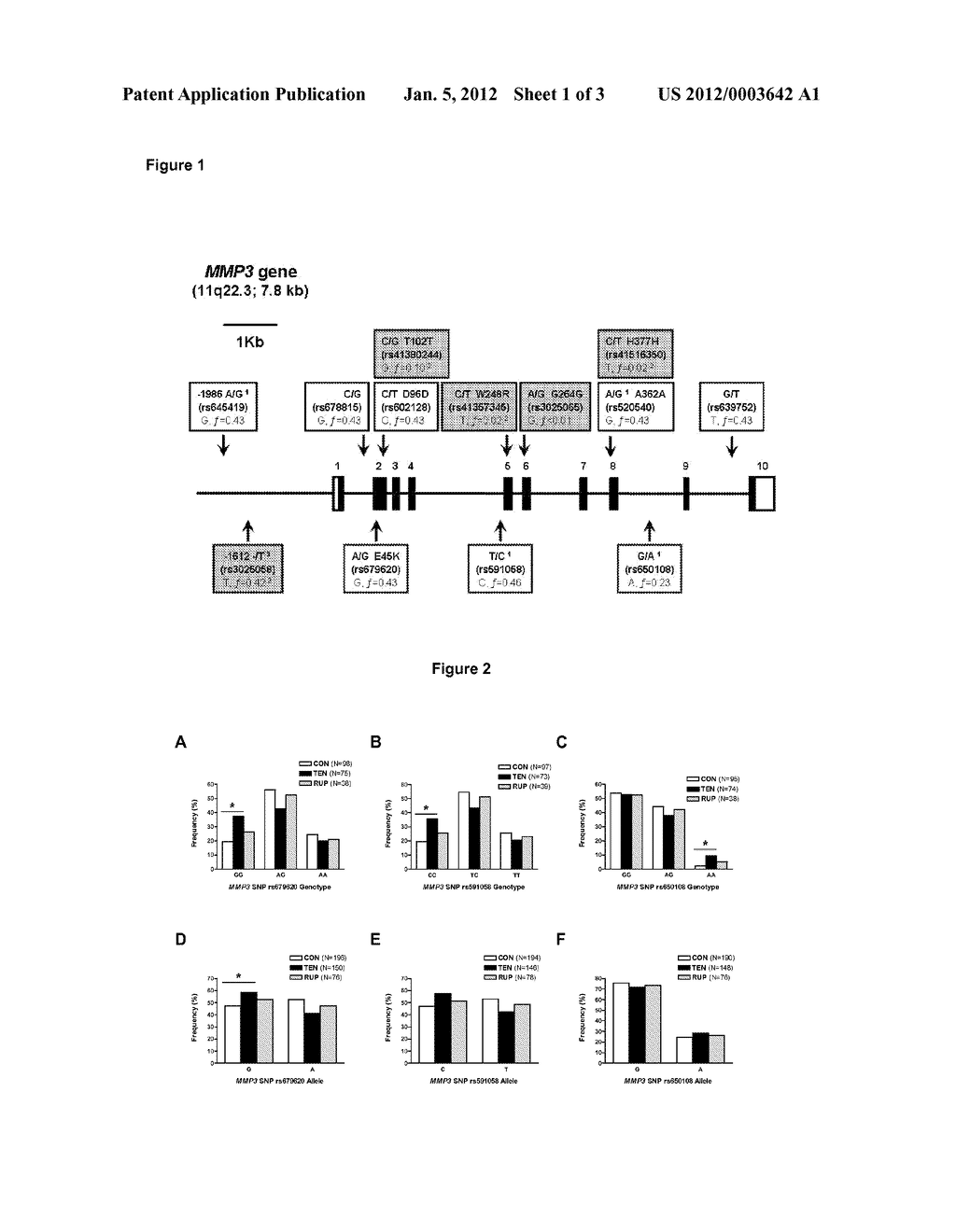 OLIGONUCLEOTIDES AND METHODS FOR DETERMINING SUSCEPTIBILITY TO SOFT TISSUE     INJURIES - diagram, schematic, and image 02