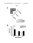 OLIGONUCLEOTIDES AND METHODS FOR DETERMINING SUSCEPTIBILITY TO SOFT TISSUE     INJURIES diagram and image