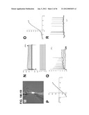 IDENTIFICATION OF NEUROPROTECTIVE AGENTS USING PRO-INFLAMMATORY HUMAN     GLIAL CELLS diagram and image