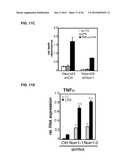 IDENTIFICATION OF NEUROPROTECTIVE AGENTS USING PRO-INFLAMMATORY HUMAN     GLIAL CELLS diagram and image