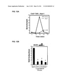 IDENTIFICATION OF NEUROPROTECTIVE AGENTS USING PRO-INFLAMMATORY HUMAN     GLIAL CELLS diagram and image