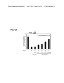 IDENTIFICATION OF NEUROPROTECTIVE AGENTS USING PRO-INFLAMMATORY HUMAN     GLIAL CELLS diagram and image