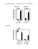 IDENTIFICATION OF NEUROPROTECTIVE AGENTS USING PRO-INFLAMMATORY HUMAN     GLIAL CELLS diagram and image