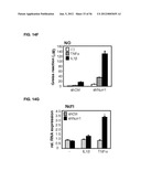 IDENTIFICATION OF NEUROPROTECTIVE AGENTS USING PRO-INFLAMMATORY HUMAN     GLIAL CELLS diagram and image