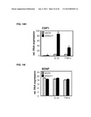 IDENTIFICATION OF NEUROPROTECTIVE AGENTS USING PRO-INFLAMMATORY HUMAN     GLIAL CELLS diagram and image