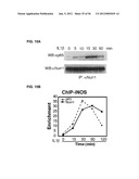 IDENTIFICATION OF NEUROPROTECTIVE AGENTS USING PRO-INFLAMMATORY HUMAN     GLIAL CELLS diagram and image