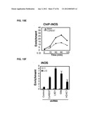 IDENTIFICATION OF NEUROPROTECTIVE AGENTS USING PRO-INFLAMMATORY HUMAN     GLIAL CELLS diagram and image