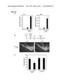 IDENTIFICATION OF NEUROPROTECTIVE AGENTS USING PRO-INFLAMMATORY HUMAN     GLIAL CELLS diagram and image