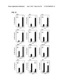 IDENTIFICATION OF NEUROPROTECTIVE AGENTS USING PRO-INFLAMMATORY HUMAN     GLIAL CELLS diagram and image