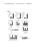 IDENTIFICATION OF NEUROPROTECTIVE AGENTS USING PRO-INFLAMMATORY HUMAN     GLIAL CELLS diagram and image