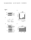 IDENTIFICATION OF NEUROPROTECTIVE AGENTS USING PRO-INFLAMMATORY HUMAN     GLIAL CELLS diagram and image