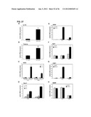 IDENTIFICATION OF NEUROPROTECTIVE AGENTS USING PRO-INFLAMMATORY HUMAN     GLIAL CELLS diagram and image