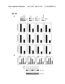 IDENTIFICATION OF NEUROPROTECTIVE AGENTS USING PRO-INFLAMMATORY HUMAN     GLIAL CELLS diagram and image