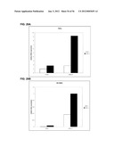 IDENTIFICATION OF NEUROPROTECTIVE AGENTS USING PRO-INFLAMMATORY HUMAN     GLIAL CELLS diagram and image