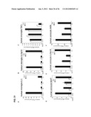 IDENTIFICATION OF NEUROPROTECTIVE AGENTS USING PRO-INFLAMMATORY HUMAN     GLIAL CELLS diagram and image