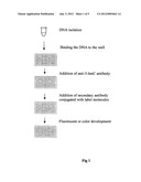 Method of rapidly quantifying hydroxymethylated DNA diagram and image