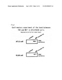 Screening method, composition containing substance selected by the     screening method, and binding substance diagram and image