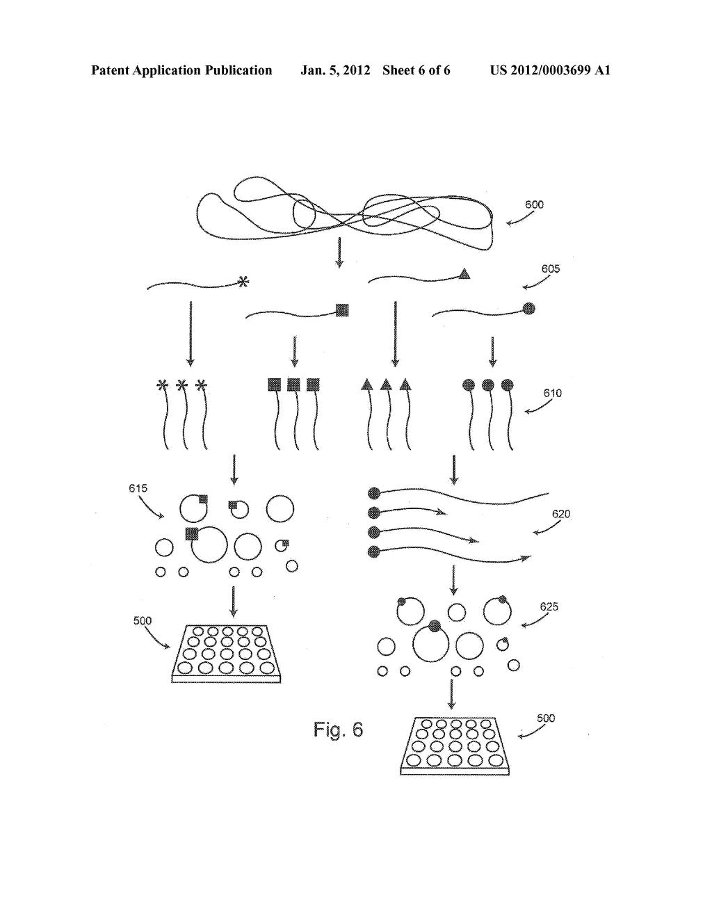 SEPARTION OF TAGGED FRAGMENTS - diagram, schematic, and image 07