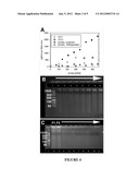 Isolation of Biomolecules from Biological Samples diagram and image