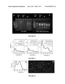 Isolation of Biomolecules from Biological Samples diagram and image