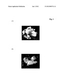 BLENDS CONTAINING PROTEASES diagram and image