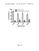 INFECTIOUS GENOTYPE 1a, 1b, 2a, 2b, 3a, 5a, 6a and 7a HEPATITIS C VIRUS     LACKING THE HYPERVARIABLE REGION 1 (HVR1) diagram and image