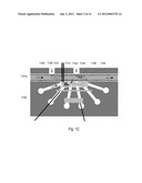 CAPILLARY PERFUSED BIOREACTORS WITH MULTIPLE CHAMBERS diagram and image