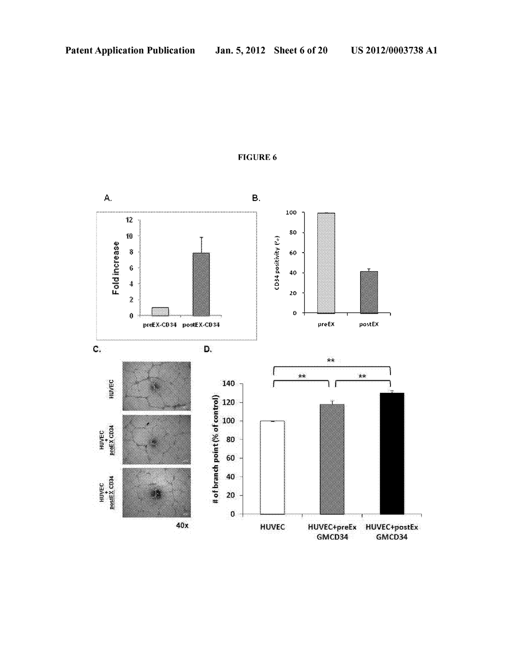 Method For Amplification And Functional Enhancment Of Blood Derived     Progenitor Cells Using A Closed Culture System - diagram, schematic, and image 07