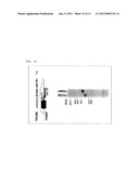 RECOMBINANT VIRUS, ESCHERICHIA COLI RETAINING THE SAME AND A PROCESS FOR     PRODUCTION THEREOF diagram and image