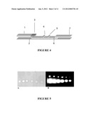 CHROMATOGRAPHIC ASSAY SYSTEM diagram and image