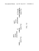 DIRECT IDENTIFICATION AND MEASUREMENT OF RELATIVE POPULATIONS OF     MICROORGANISMS WITH DIRECT DNA SEQUENCING AND PROBABILISTIC METHODS diagram and image