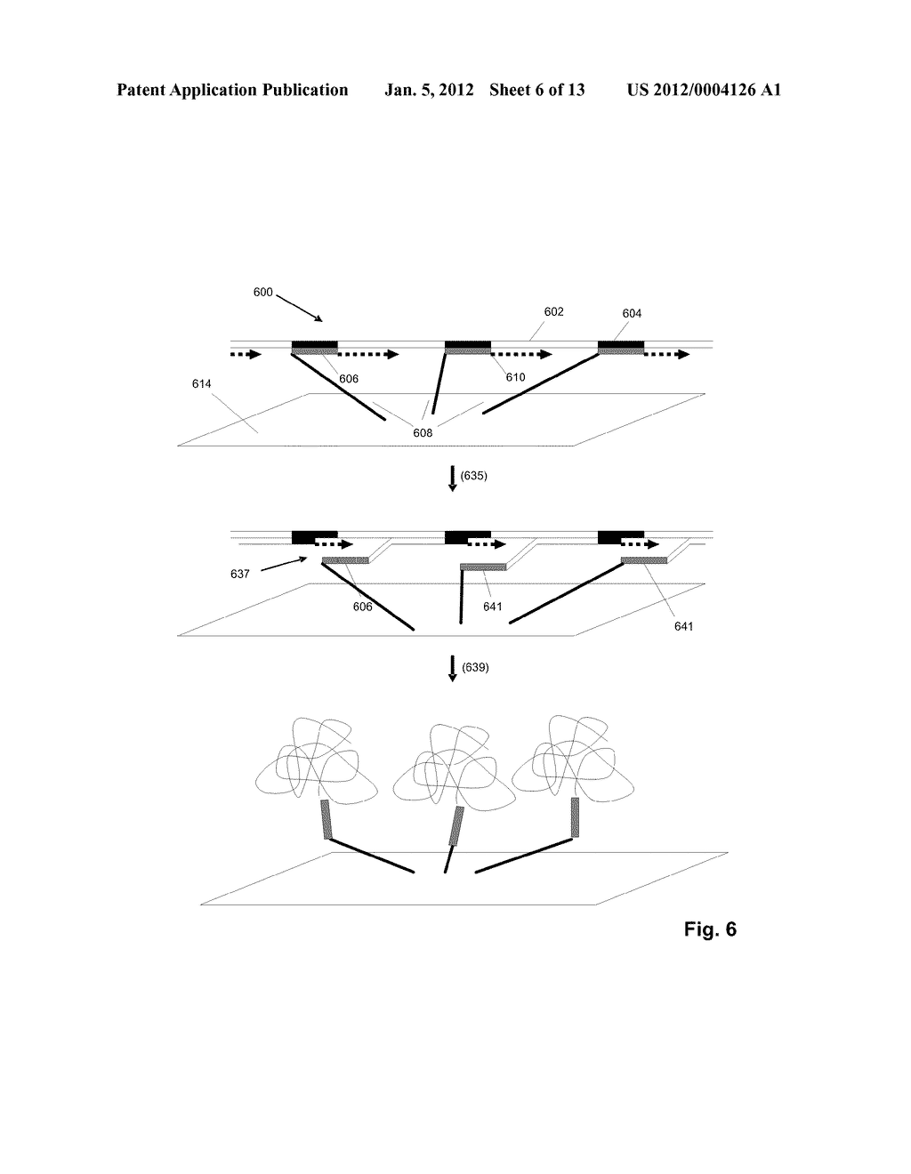 Efficient Arrays of Amplified Polynucleotides - diagram, schematic, and image 07