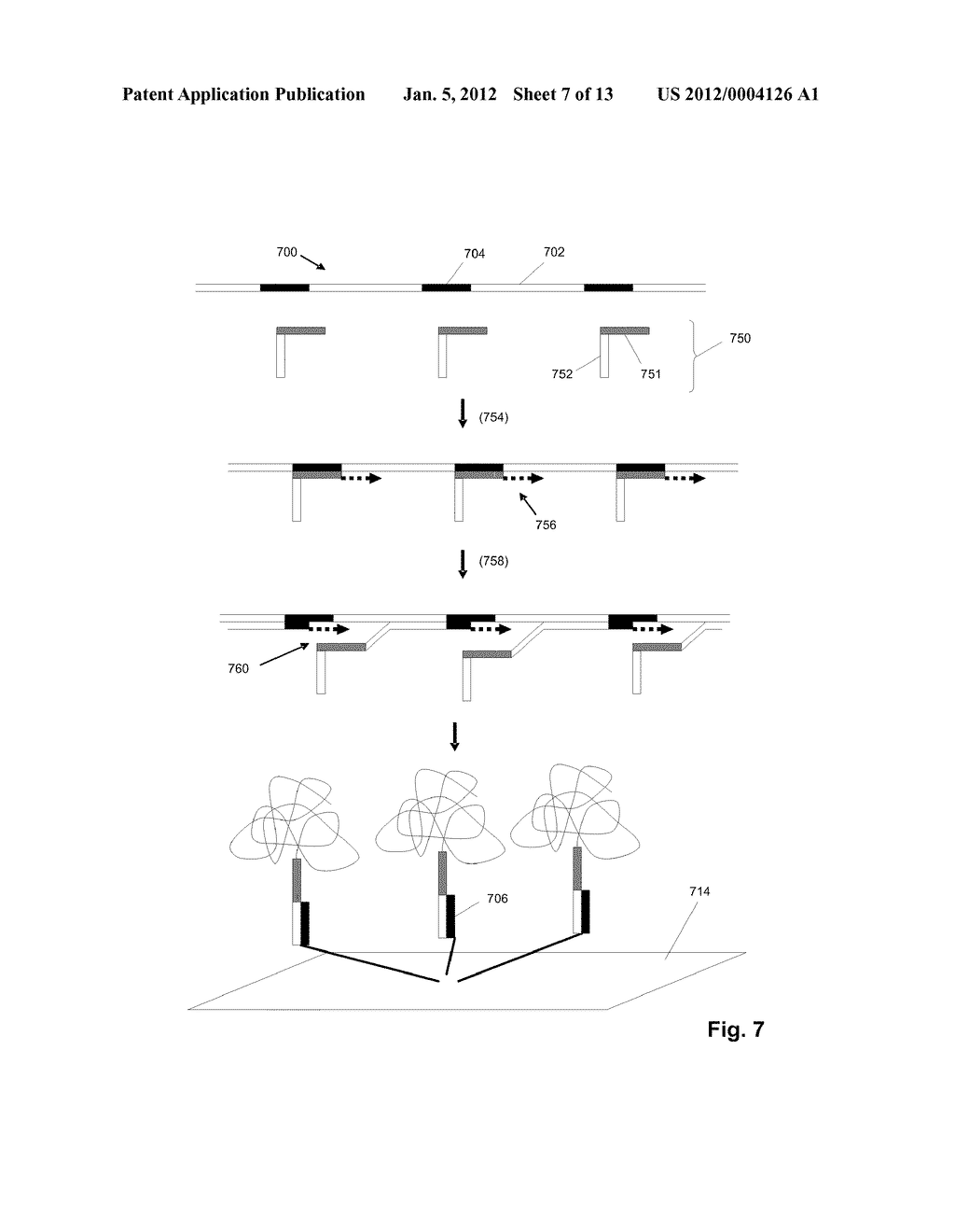 Efficient Arrays of Amplified Polynucleotides - diagram, schematic, and image 08