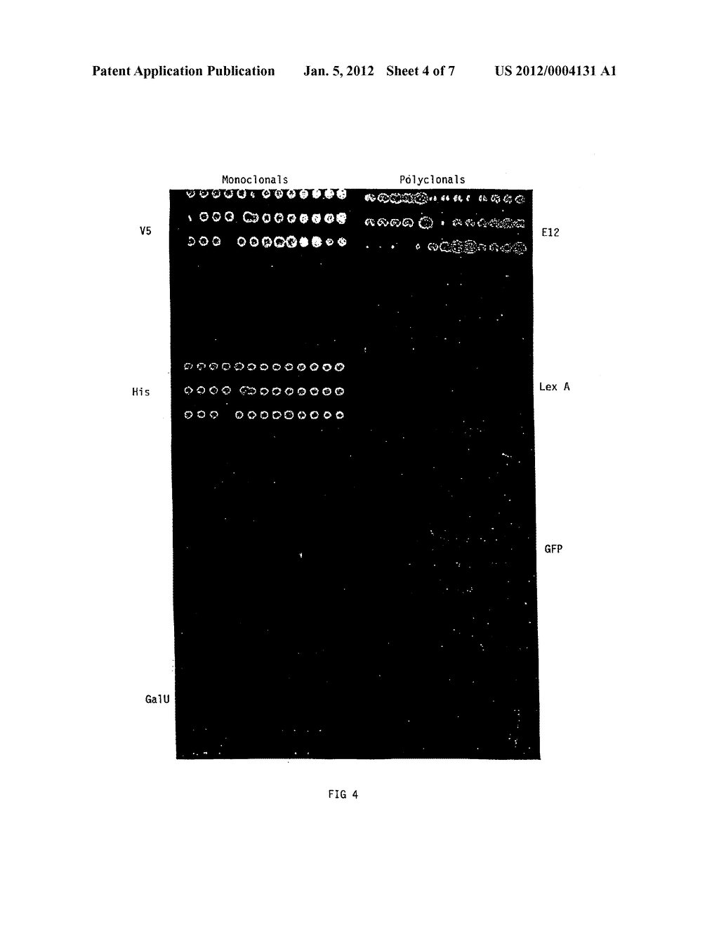 MICROARRAYS AND USES THEREFOR - diagram, schematic, and image 05