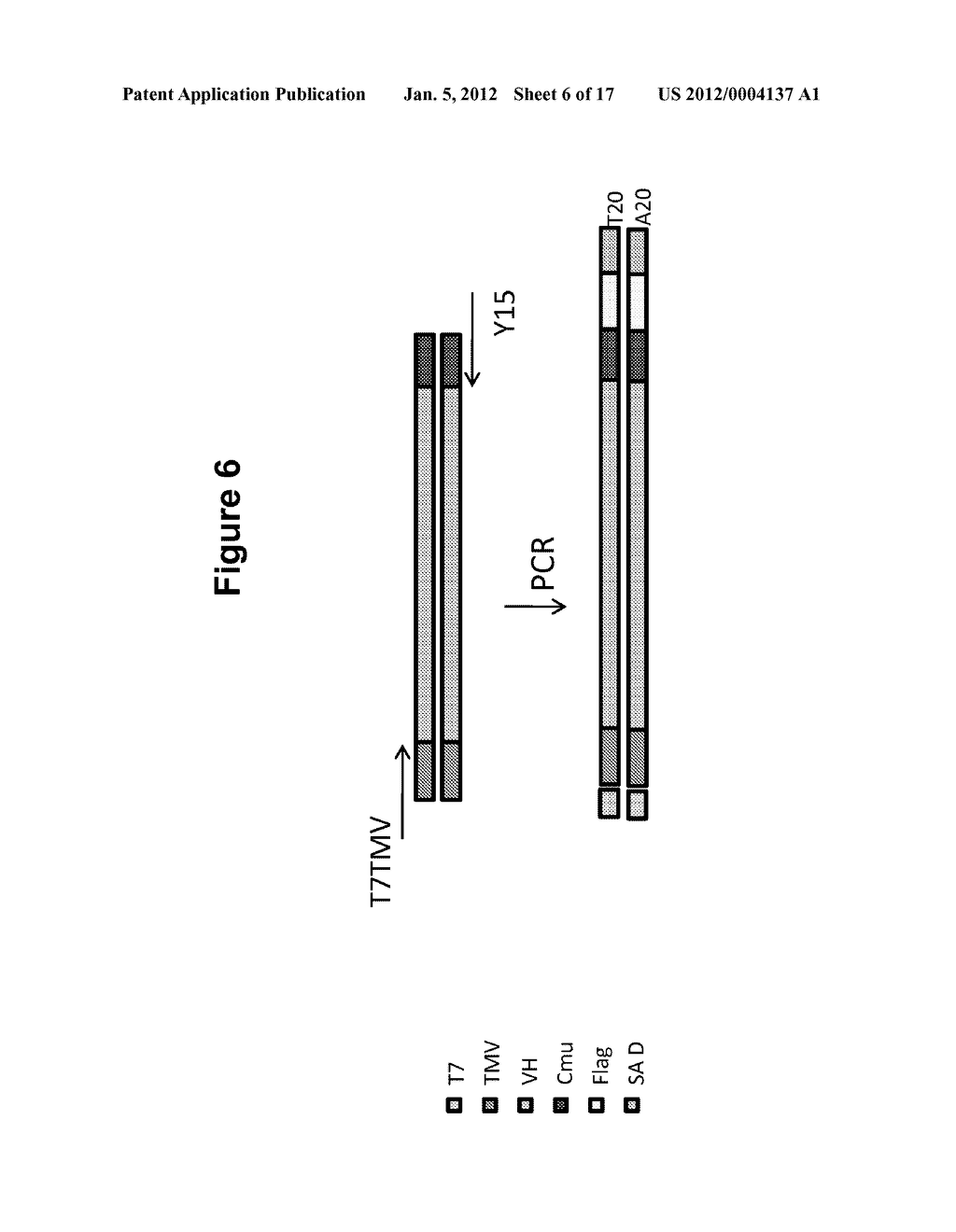 IDENTIFICATION OF NUCLEIC ACID DELIVERY VEHICLES USING DNA DISPLAY - diagram, schematic, and image 07