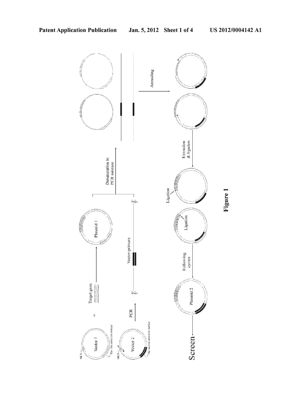 METHOD FOR CONSTRUCTING MUTAGENESIS LIBRARIES IN SITU - diagram, schematic, and image 02